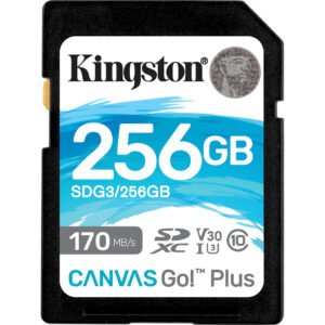 Kingston Canvas Go Plus 256GB - vergelijk en bespaar - Vergelijk365