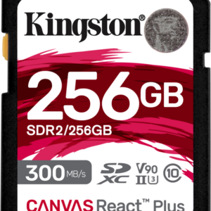 Kingston Canvas React Plus 256GB - vergelijk en bespaar - Vergelijk365