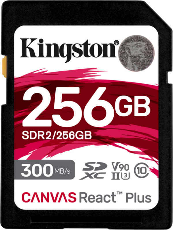 Kingston Canvas React Plus 256GB - vergelijk en bespaar - Vergelijk365