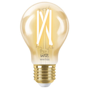 WiZ Smart Filament lamp Standaard Goud - Warm tot Koelwit Licht - E27 - vergelijk en bespaar - Vergelijk365